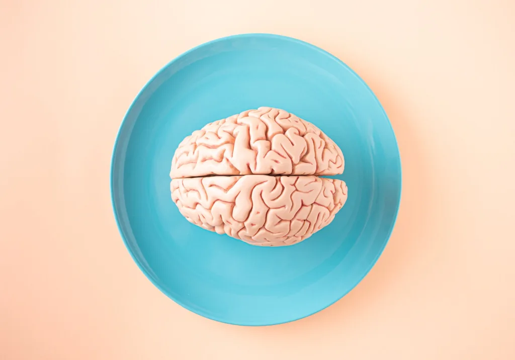 Gut-Brain Axis - Human brain anatomical model on a plate