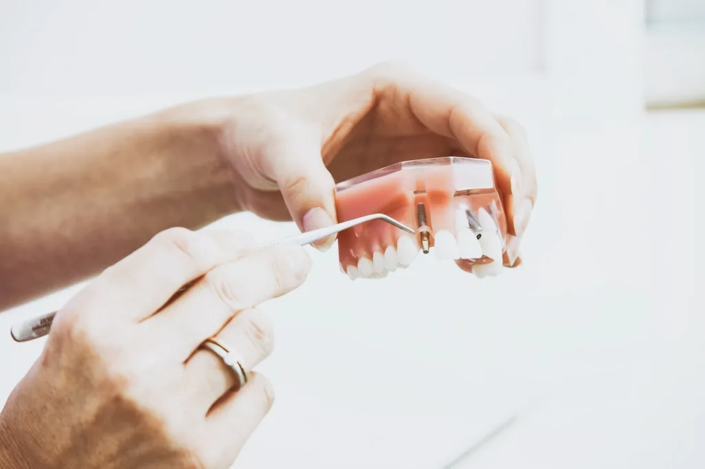 High paying jobs - Orthodontist - person wearing silver-colored ring while holding denture